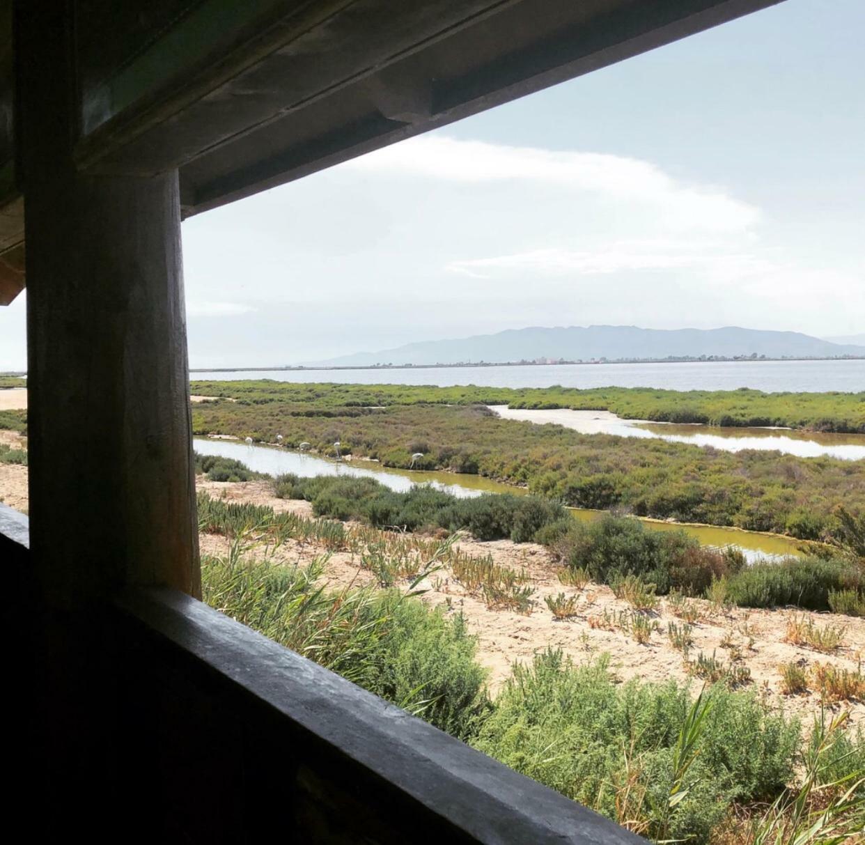 Albergue Delta L'Eucaliptus Luaran gambar